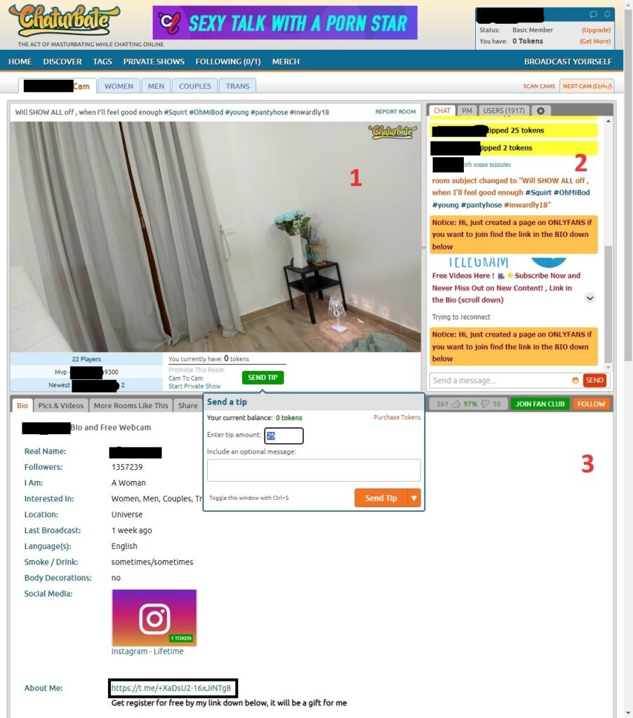 Chaturbate's Stream interface