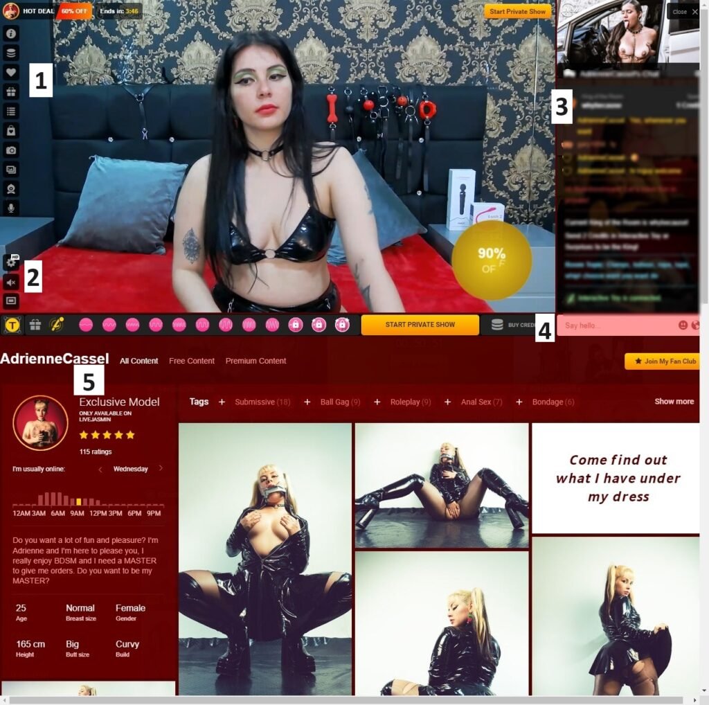 LiveJasmin-stream-interface